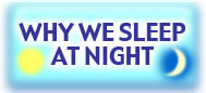 Why We Sleep At Night
