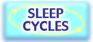 Sleep Cycles
